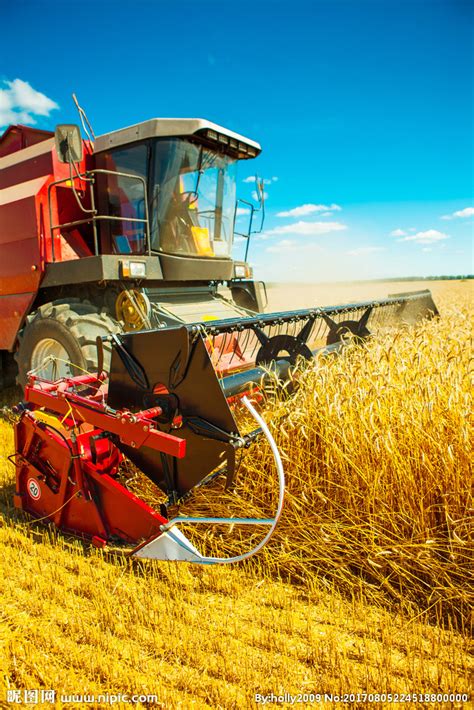 小麦收割在即，有专家呼吁禁止使用收割机收麦子？6旬农民怒怼！