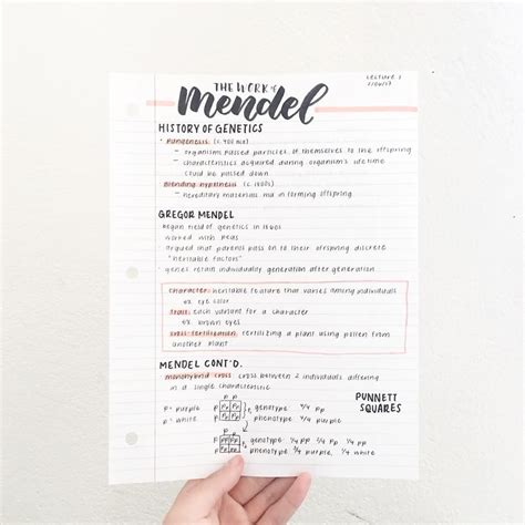 Notebook Notes 的图像结果