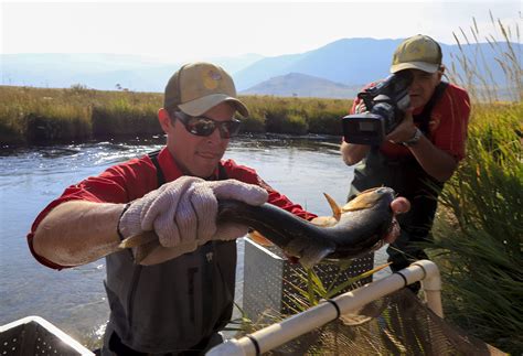 Jessica's Pond Fishing Closure