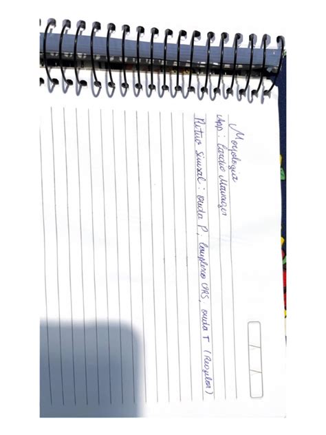 Documentos Escaneados 的图像结果