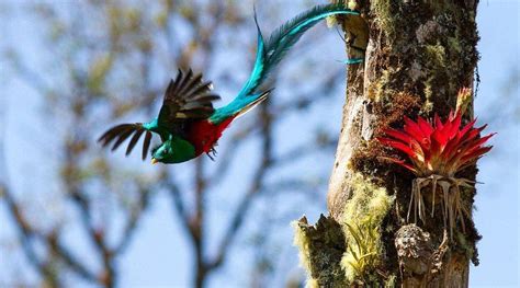 MIRADOR DE QUETZALES (Copey) - Campground Reviews, Photos, Rate ...