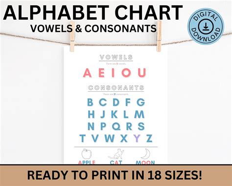 Vowels And Consonants Chart Phonics Poster Classroom New, 55% OFF