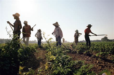 Bis in die 1960er wurden Schwarze in den USA als Sklaven gehalten