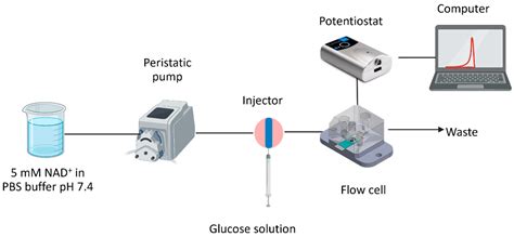 Enhancing Glucose Biosensing with Graphene Oxide and Ferrocene-Modified ...