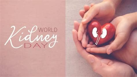 On World Kidney Day, know what to do and avoid to maintain creatinine ...