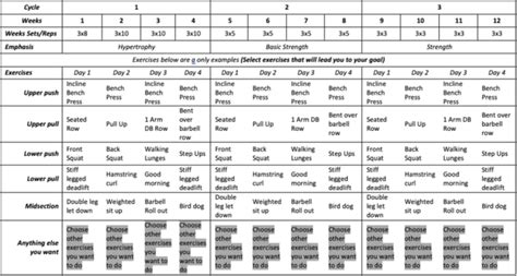 Personal Training Programming How To 的图像结果