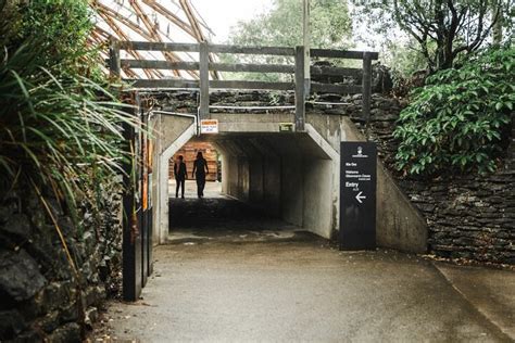 WAITOMO GLOWWORM CAVES AND HAMILTON GARDENS - BUDGET DAY TOUR FROM ...