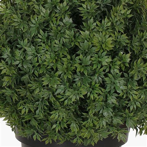 Buy Monochoria Plant In Plastic Pot from Home Centre at just INR 1299.0