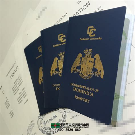 护照内页上的联合王国移民入境印章单高清图片下载-正版图片504862979-摄图网