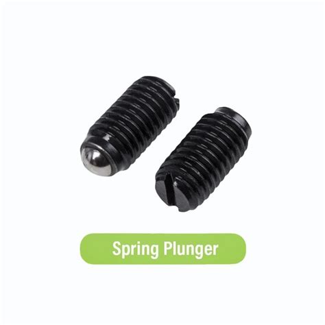 Image result for Spring Plunger Design