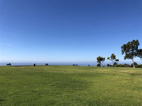 1살짜리 동생이에요 - 포텐 터짐 최신순 - 에펨코리아