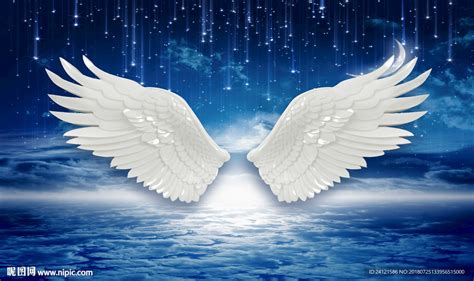 天使翅膀图片-星空下的天使翅膀素材-高清图片-摄影照片-寻图免费打包下载