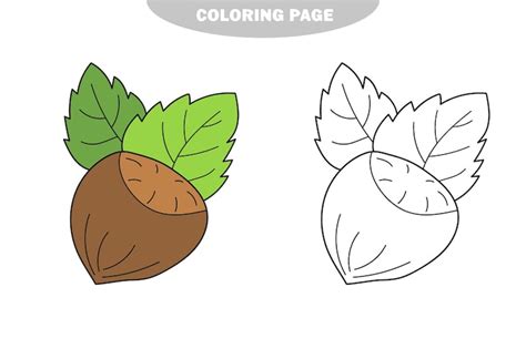 Images de Noisette dessin – Téléchargement gratuit sur Freepik