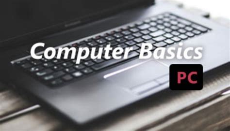 Basic Computer Literacy 的图像结果