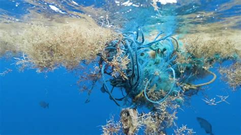 Microplastics are harming our drinking water: Study