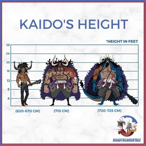 The Big Question : How Tall is Kaido in One Piece?