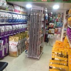 Top Pet Shops For Dog in Daund - Best Pet Supplies Store near me - Justdial