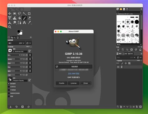 GIMP Tutorial Basic Photo Editing 的图像结果