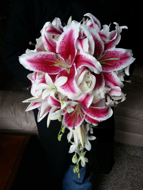 Stargazer Lily Arrangements