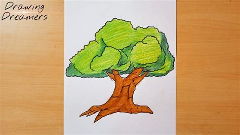 Tree Drawing with Color 的图像结果