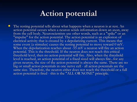 Action Potential Explained 的图像结果