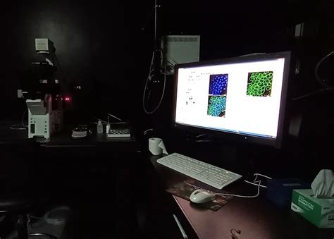 CSCR | Centre for Stem Cell Research (CSCR)