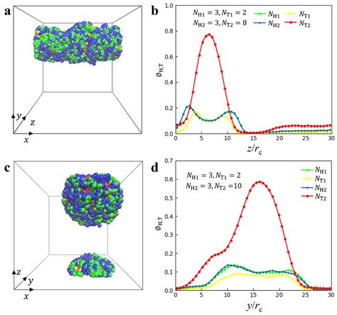 Self-Assembly of Lipid Molecules under Shear Flows: A Dissipative ...