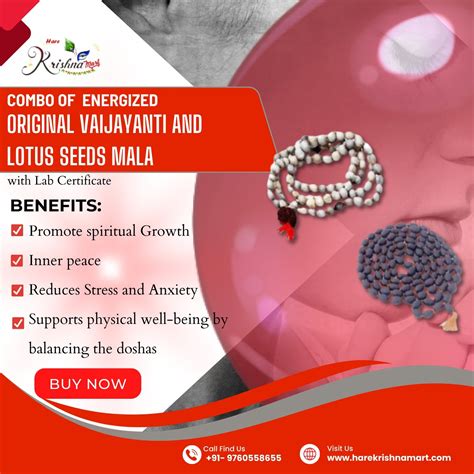 Energized Original Vaijayanti and Lotus Seeds Mala – Hare krishna Mart