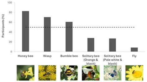 Public Attitudes towards Insect Pollinators in Morocco: Insights from a ...