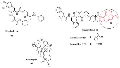 Cyanobacteria—From the Oceans to the Potential Biotechnological and ...