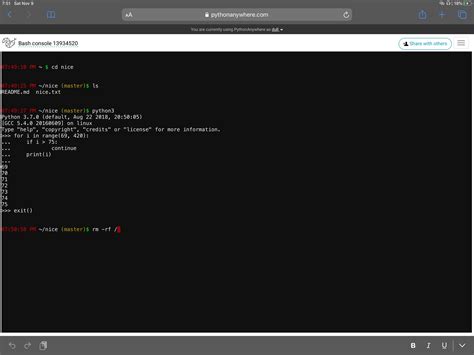 Python Code Editor iPad 的图像结果