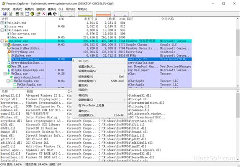 System Internal Process Explorer 的图像结果