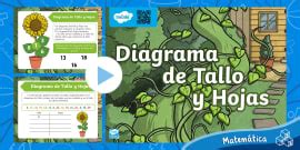 Diagrama Tallo Hojas Gráficos Estadística Datos Graficar