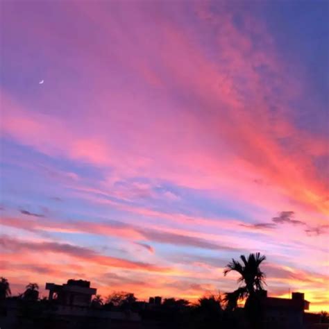 | Quotes & Writings by Aaron | YourQuote