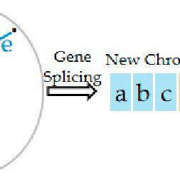 Image result for DNA Splicing Machine