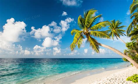 海边沙滩阳光背景背景图片素材免费下载_熊猫办公