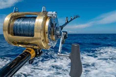 Types of Fishing Reels and How to Choose The Right Fishing Reel