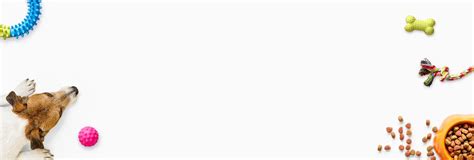 Domain Name Search & Buy Domains Starting at ₹1*| BigRock