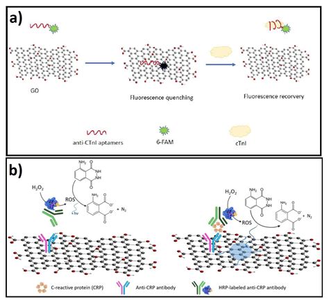 Graphene-Based Biosensors for Molecular Chronic Inflammatory Disease ...