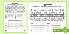 Opposites Worksheet | Opposite Words Matching Activity