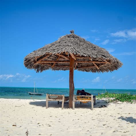 BLUE EARTH BEACH BUNGALOW (Jambiani, Zanzibar Island) - Hotel Reviews ...