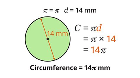 Circumference of a Circle - Year 7 PDF Download