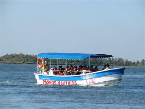 PASEOS NAUTICOS PEDRO CANOERO (Corrientes) - What to Know Before You Go