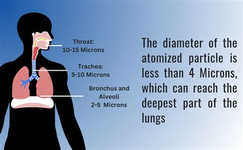 Infi-Neb Nebulizer machine for kids and adults | Compressor Nebuliser ...