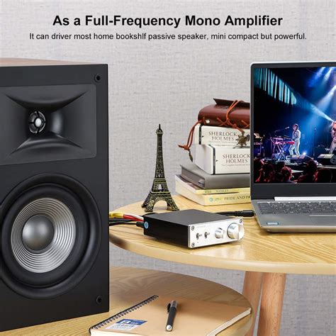 AIYIMA 100W Subwoofer Amplifier Class D HiFi Mono Channel Amplifier ...