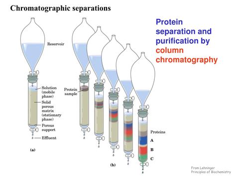 Image result for Basic Principles of Protein Purification