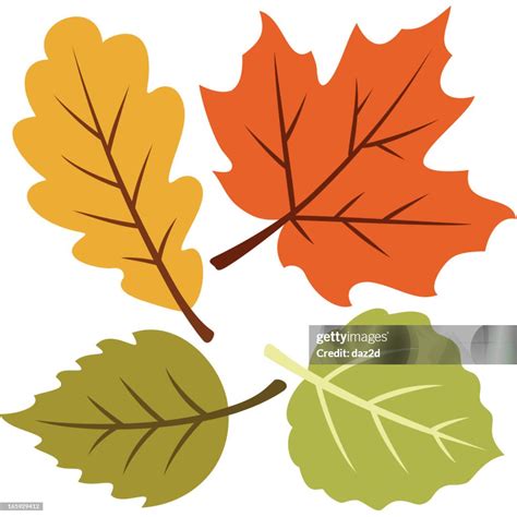 Autumn Leaves Clip Art