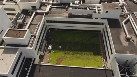 Genesis East Medical Center wants to expand its green roof | wqad.com