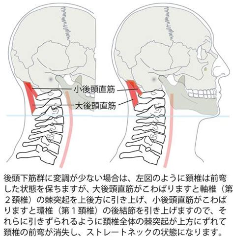Image result for Strongwolfe Line Search Algorithm