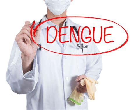 10 Signs and Symptoms of Malaria | Sprint Medical